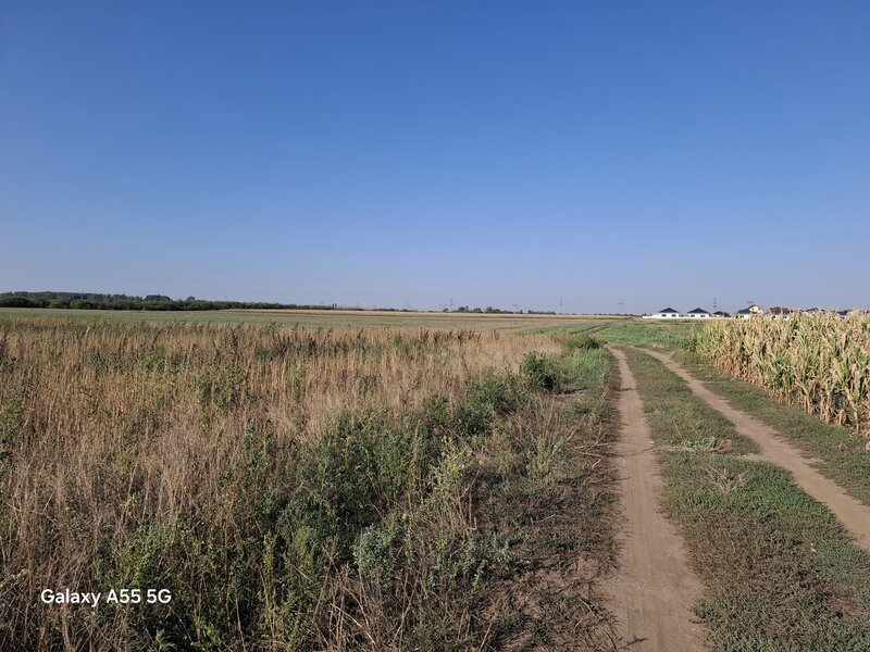 Clinceni teren industrial de vanzare 16300 mp, pret 652000 euro negociabil.