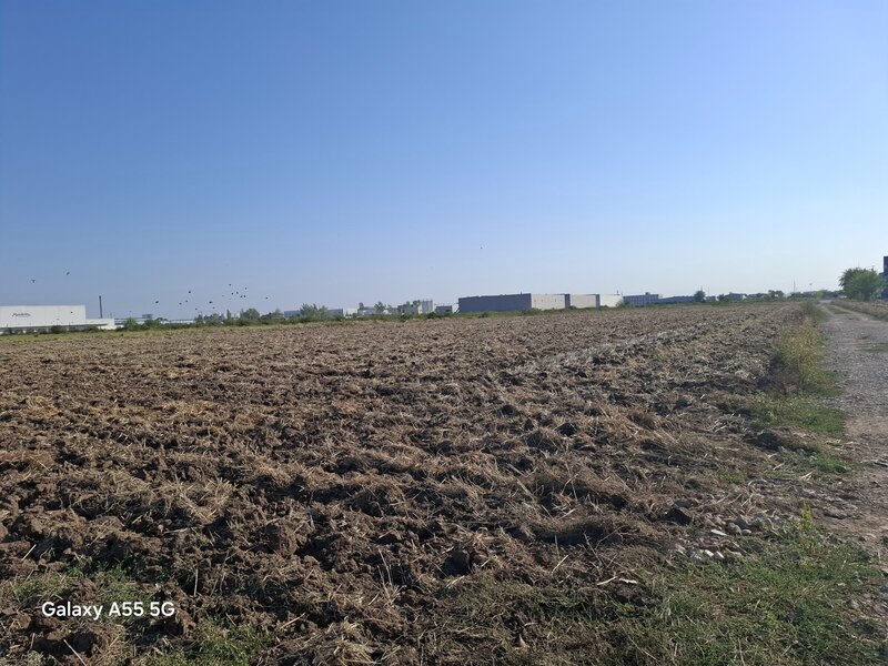 Clinceni teren industrial de vanzare 16300 mp, pret 652000 euro negociabil.